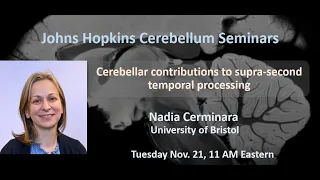 Nadia Cerminara: Cerebellar contributions to supra-second temporal processing