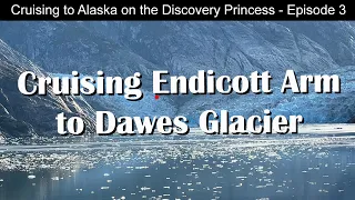 Discovery Princess | Endicott Arm | Dawes Glacier | Alaska