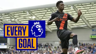 EVERY PREMIER LEAGUE GOAL AGAINST BRIGHTON! | ROONEY, CALVERT-LEWIN, RODRIGUEZ!