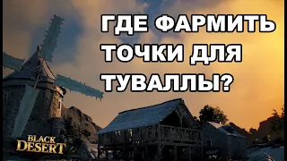 Где фармить точки для Туваллы? Тест спотов БДО - Black Desert (MMORPG - ИГРЫ)