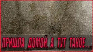 СОСЕДИ ЗАТОПИЛИ НАМ КВАРТИРУ / МИЛА И МАРК ПОЛУЧИЛИ ПОСЫЛКУ ОТ НАШЕЙ ПОДПИСЧИЦЫ