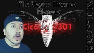 Gay Guy Reacts to Cicada 3301: An Internet Mystery by LEMMiNO First Time Reaction / #lancebreacting