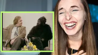 CANADIAN REACTS TO NOT THE 9 O'CLOCK NEWS! |  Gerald The Gorilla!