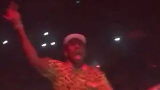 TYLER, THE CREATOR AT THE SAINT PABLO TOUR