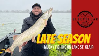 Fall Musky fishing Lake St. Clair