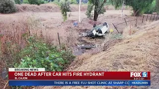 Man Killed When Car Shears Hydrant, Overturns In Ditch