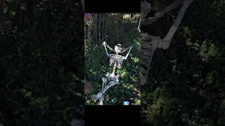 I found again Human Skeleton on Google map & Google Earth #shorts