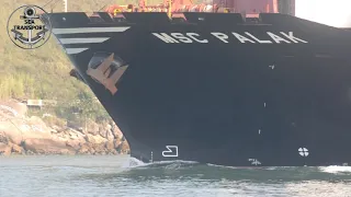 EXTRAORDINARY SHIPS IN MOTION, SANTOS PORT SHIPSPOTTING, (original audio) MAY 2021 #146