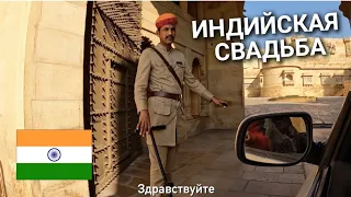 Индийская свадьба Дворец 5 звёзд, ОСТОРОЖНО МОШЕННИК, Работа в Индии на Ивенте 2022