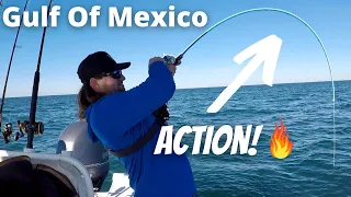 Light Tackle OFFSHORE Fishing In A BAY BOAT | MULTIPLE SPECIES