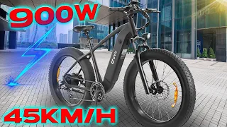 Le roi des fat bike?(dyu king 750)