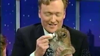 Late Night 'Jarod Miller and the Most Dangerous Animals 5/18/2001