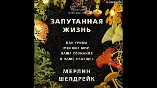 #Аудиновинка| Мерлин Шелдрейк «Запутанная жизнь. Как грибы меняют мир, наше сознание и наше будущее»