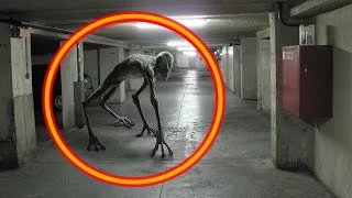 5 Real Aliens Caught on Camera ● Real Proof Of Aliens Exist