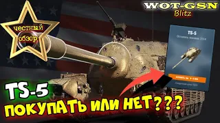 TS-5 - ЧЕСТНЫЙ ОБЗОР! Покупать на Летнем Аукционе? в wot Blitz 2023 | WOT-GSN