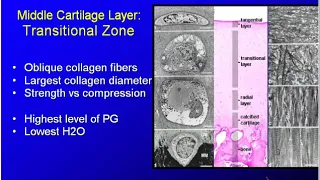 Miller's Orthopaedic Lectures: Basic Sciences 2