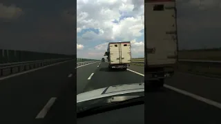 Cu vaca pe autostrada