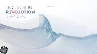 Liquid Soul - I See the Spirit (Protonica Remix)