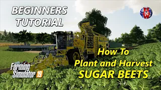 TUTORIAL - How to Plant and Harvest SUGAR BEETS - Farming Simulator 19 - FS19 SUGAR BEET Tutorial