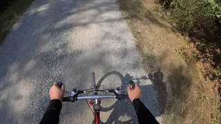 In giro per la Mandria in bicicletta