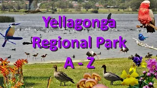 Yellagonga Regional Park, Diversity A   Z