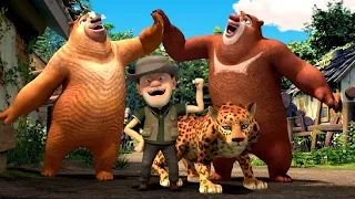 Boonie Bears Full Movie 1080p 💥 A Fool For The Cool 🎬🐻 BEST CARTOON COLLECTION IN HD 🏆