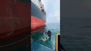 Diver work, insane cargo ship'$ hull cleaning #serviceunderwater #Divehardwork