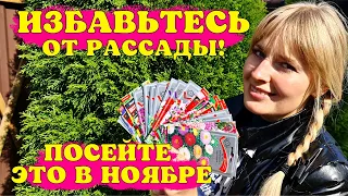 Избавьте СЕБЯ ОТ РАССАДЫ! Посейте ЭТИ ЦВЕТЫ В НОЯБРЕ!