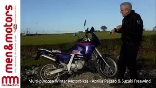 Multi-purpose Winter Motorbikes - Aprilia Pegaso & Suzuki Freewind