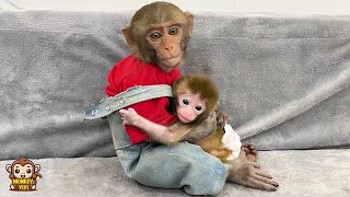 The process of YiYi finding and taking care of baby monkey