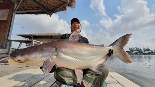 Japanese client Giant Mekong Catfish Fishing Thailand 2020-BKKGUY