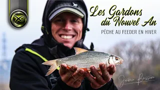 Les Gardons du Nouvel An avec Jérémie Boissière - Pêche de gardons au feeder - Matrix Fishing TV