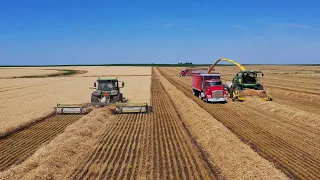 Wheat, it's not just for bread. Wheatlage 2022