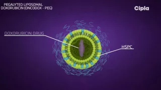 Liposomal technology