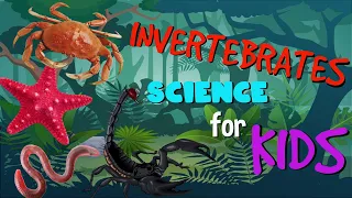 Invertebrates or Animals without Backbone | Science for Kids