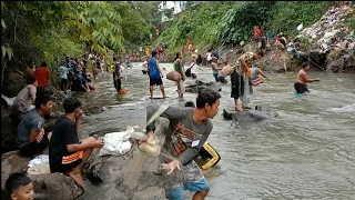 Fishing Net Video - Tradisional Cast Net Fishing Village in River (Part 34 )