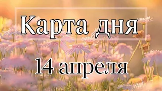 14 АПРЕЛЯ КАРТА ДНЯ   ДЛЯ ВСЕХ!  ГЛАВНЫЕ СОБЫТИЯ ДНЯ!  ПРОГНОЗ ТАРО  ГОРОСКОП  Tarot Horoscope today