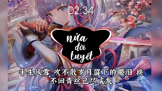 NỬA ĐỜI TUYẾT REMIX (雪半條命) - (VANTRUNG REMIX) | NHẠC TRUNG