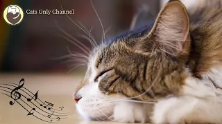 Music to Relax Cats - Peaceful Harp Music and Water Sounds