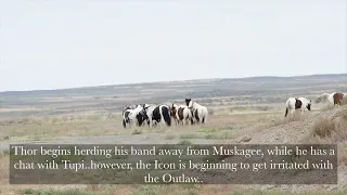 The Icon vs. The Outlaw - McCullough Peaks Wild Horses