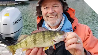 Catching Perch with live bait