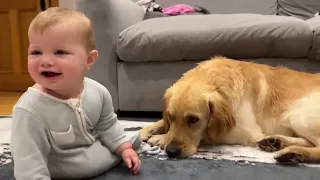 baby funny video। dog and cat love