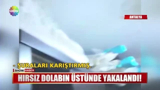 Hırsız dolabın üstüne saklandı