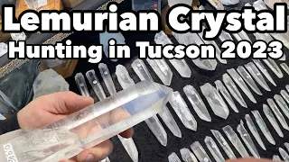 Lemurian Crystal Hunting at The Tucson Gem Show 2023 w/ Sprite