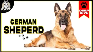 Guardian Angels: A Complete Guide To GERMAN SHEPHERDS