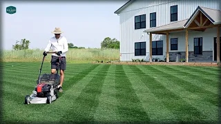 Do You Really NEED A REEL MOWER?? // Masport Rotarola Rear Roller Striping Lawn Mower