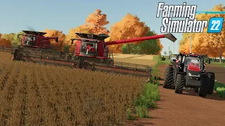 SUPER SAFRA DE FEIJÃO | Farming Simulator 22 | COLONOS FS22 EP-59