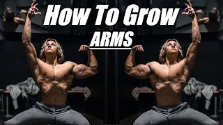 How To Get Bigger Arms