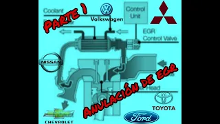 Anulación de EGR  (Todos los diesel)