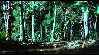 Platoon 1986 Final battle scene with Charlie Sheen